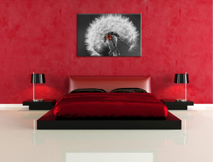 schöner Marienkäfer auf Pusteblume schwarz/weiss Format: 100x70 auf Leinwand, XXL riesige Bilder fer
