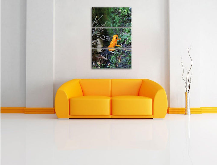 Pixxprint hochgiftiger Kleiner Frosch als Leinwandbild/Grösse: 3 Teilig (120x80) cm/Wandbild/Kunstdr