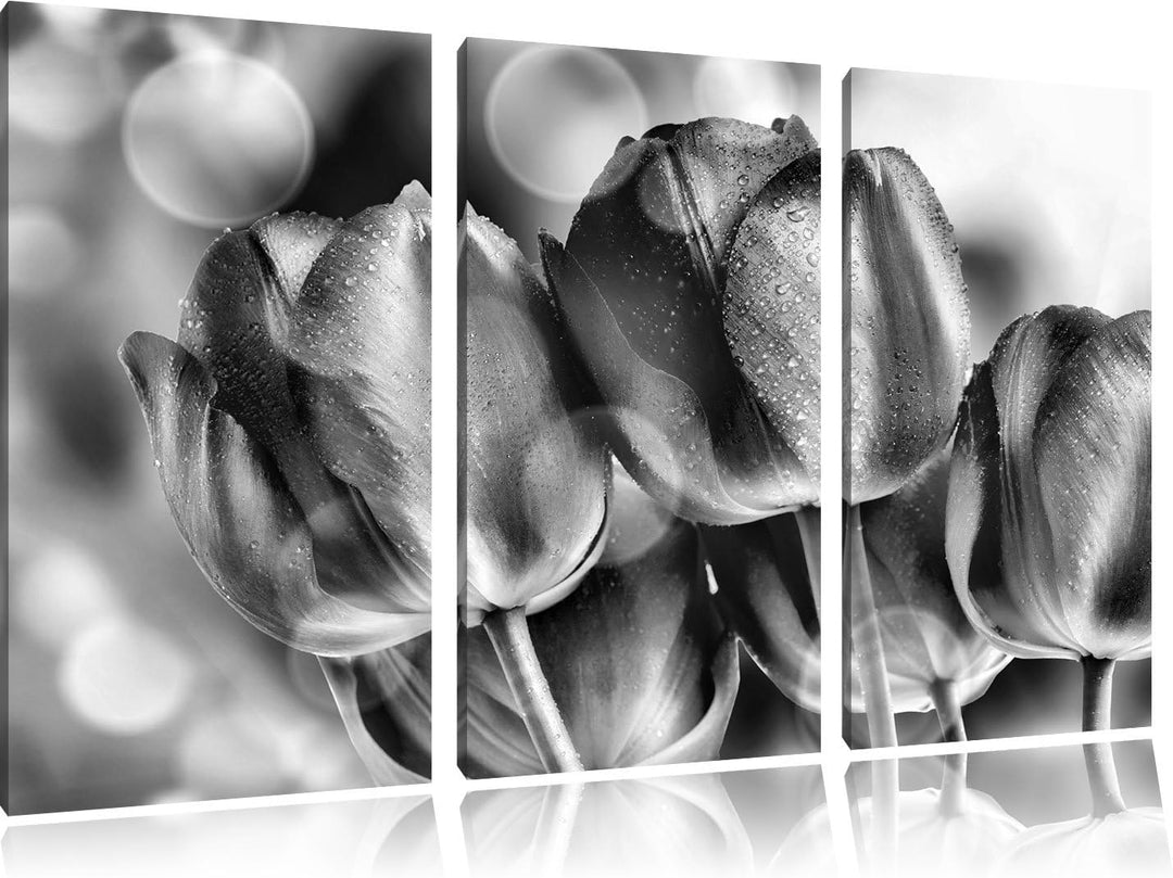 Pixxprint Rote Tulpen als Leinwandbild | Grösse: 3 Teilig (120x80) | Wandbild| Kunstdruck | fertig b