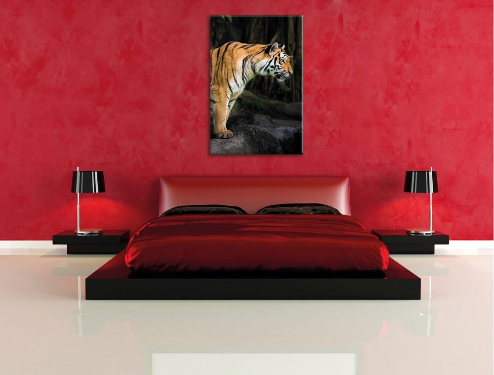 Pixxprint Tiger, Format: 100x70 auf Leinwand, XXL riesige Bilder fertig gerahmt mit Keilrahmen, Kuns