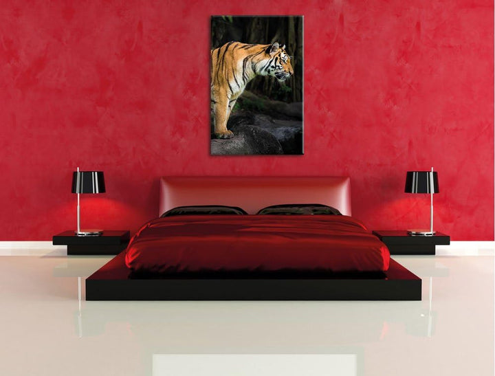 Pixxprint Tiger, Format: 100x70 auf Leinwand, XXL riesige Bilder fertig gerahmt mit Keilrahmen, Kuns