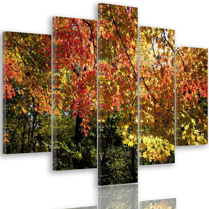 Feeby Leinwandbild Landschaft 5 TLG Bild Kunstdruck Blätter Bäume Wald bunt 100x70 cm Leinwandbild 1
