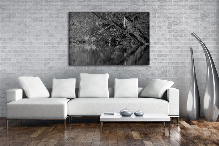 deyoli Bäume am Seeufer im Herbst Effekt: Schwarz/Weiss Format: 80x60 als Leinwand, Motiv fertig ger