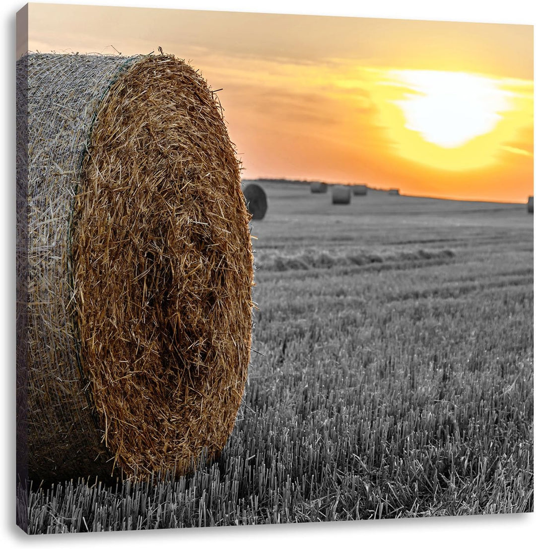 Pixxprint Strohballen auf Feld als Leinwandbild/Grösse: 70x70 cm/Wandbild/Kunstdruck/fertig bespannt