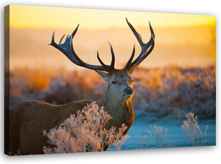 Bilder Hirsch Tier Landschaft XXL 120x80 cm 1Teilig Wohnzimmer Schlafzimmer Modern Wandbilder Vlies