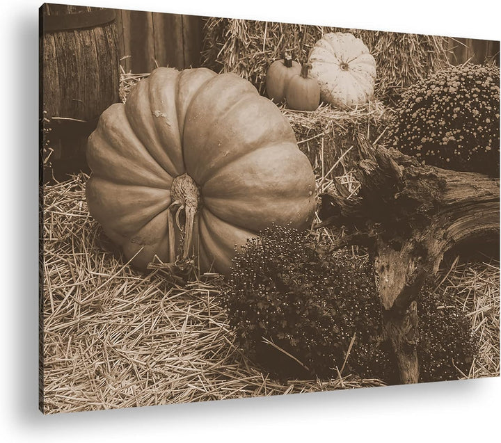 deyoli herbstliche Kürbisernte Format: 80x60 als Leinwand, Effekt: Sepia, Motiv fertig gerahmt auf E