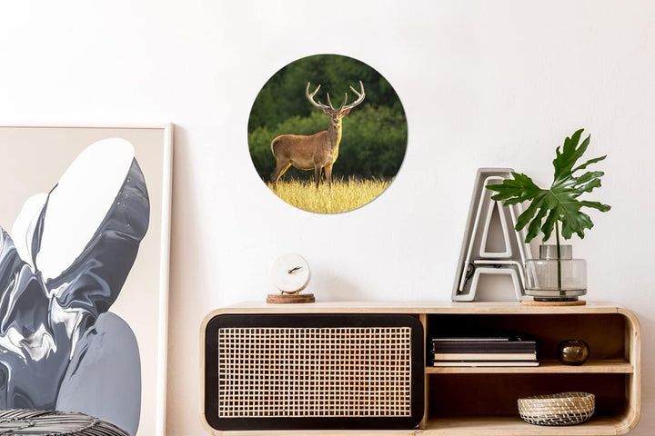 MuchoWow Wandbild Rund Wanddeko Deko Wohnzimmer Bilder 30x30 cm Hirsch - Geweih - Gras - Natur - Tie