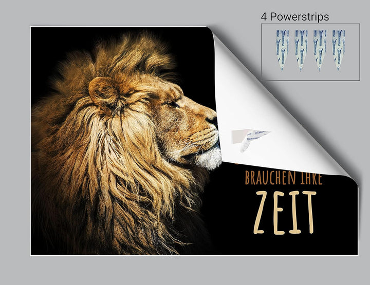 wandmotiv24 Poster als Wanddeko, Grösse 100x70cm, lerne zu warten, Zeit, Löwe, Moderne Wanddeko, Wan