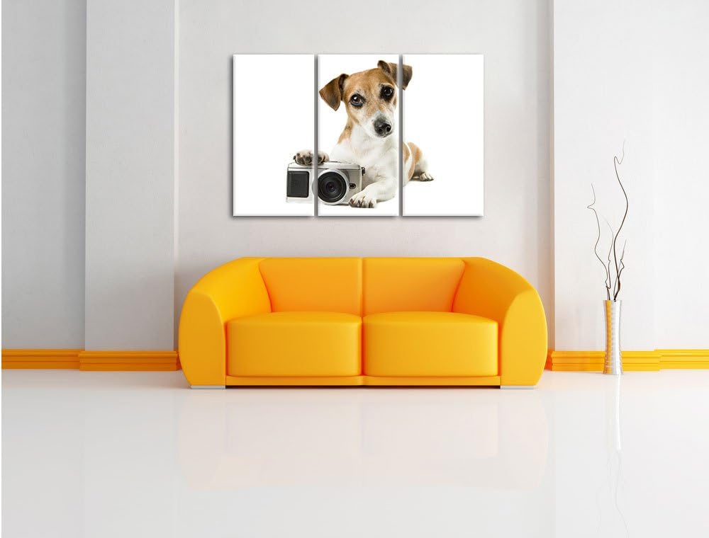 Pixxprint Niedlicher Hundewelpe mit Kamera 3-Teiler Leinwandbild 120x80 Bild auf Leinwand, riesige B