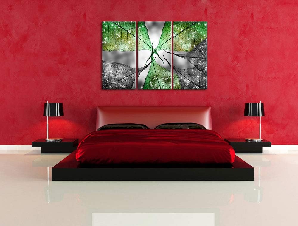grüne Blätter mit Wassertropfen schwarz/weiss 3-Teiler Leinwandbild 120x80 Bild auf Leinwand, XXL ri