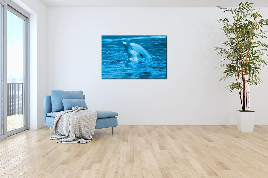 deyoli freundlicher Delphin im Aquarium Format 80x60 Effekt: Monocrome Blau als Leinwandbild, Motiv