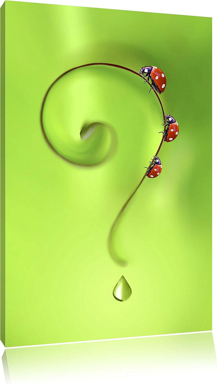 Pixxprint Marienkäfer Fragezeichen als Leinwandbild/Grösse: 100x70 cm/Wandbild/Kunstdruck/fertig bes