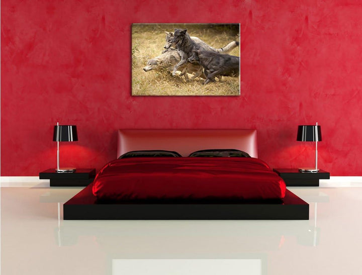 Tobendes Wolfsrudel, Format: 100x70 auf Leinwand, XXL riesige Bilder fertig gerahmt mit Keilrahmen,