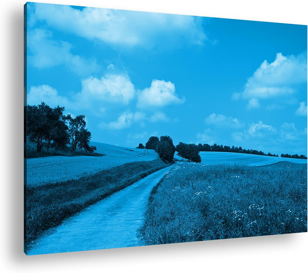 deyoli Feldweg im Sommer Format 80x60 Effekt: Monocrome Blau als Leinwandbild, Motiv fertig gerahmt