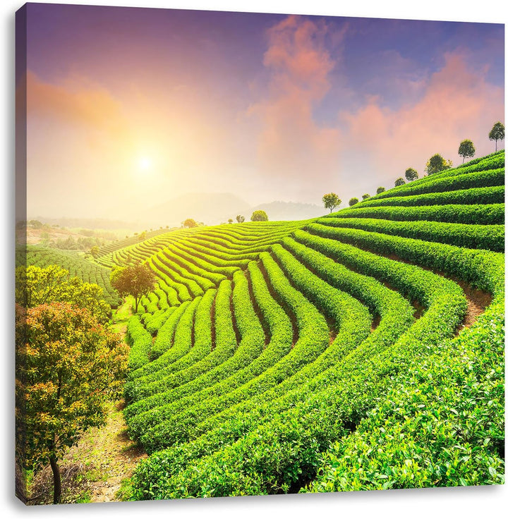 Japanische Treppenfelder, Format: 70x70 auf Leinwand, XXL riesige Bilder fertig gerahmt mit Keilrahm