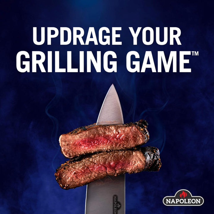 Napoleon 56028 Grill Reiniger