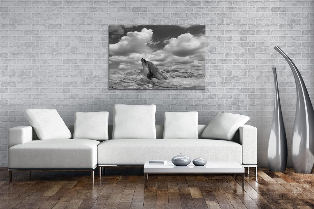 deyoli zauberhafter Delfin Effekt: Schwarz&Weiss Format: 80x60 als Leinwandbild, Motiv fertig gerahm