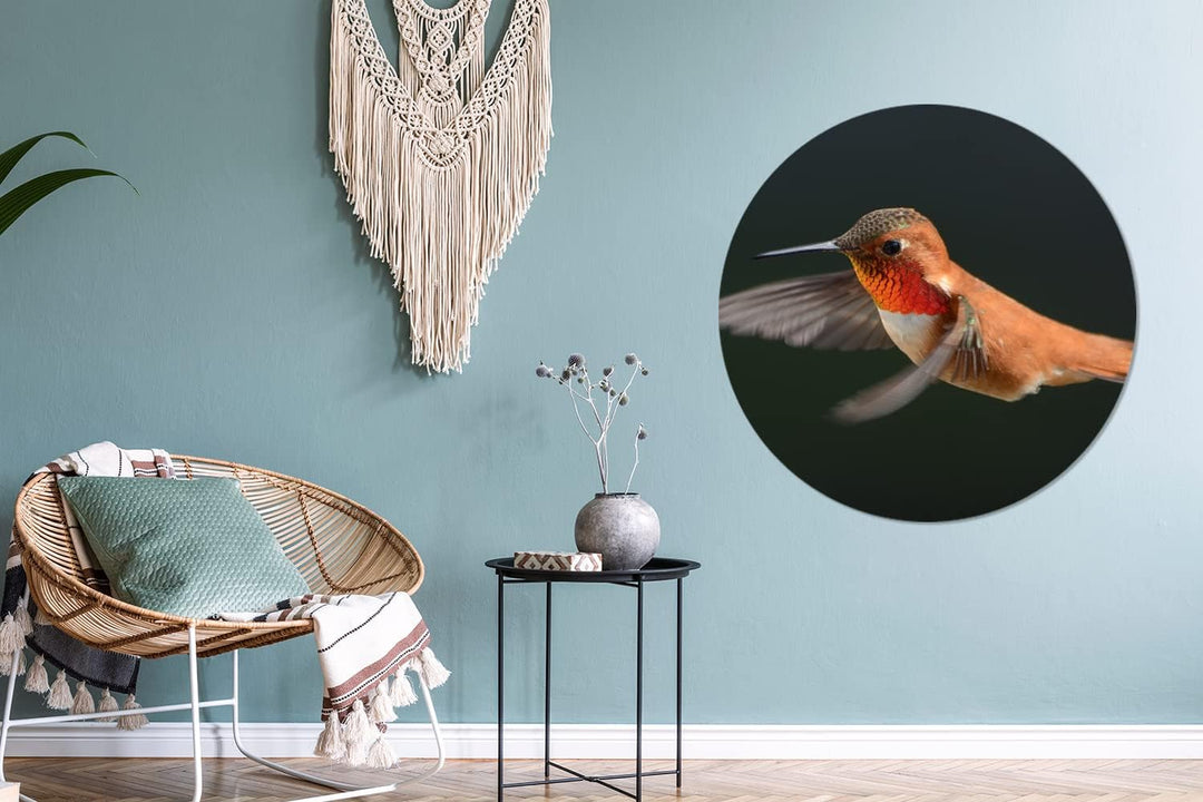 MuchoWow Wandbild Rund Wanddeko Deko Wohnzimmer Bilder 90x90 cm Kolibri - Federn - Schwarz, 90x90 cm