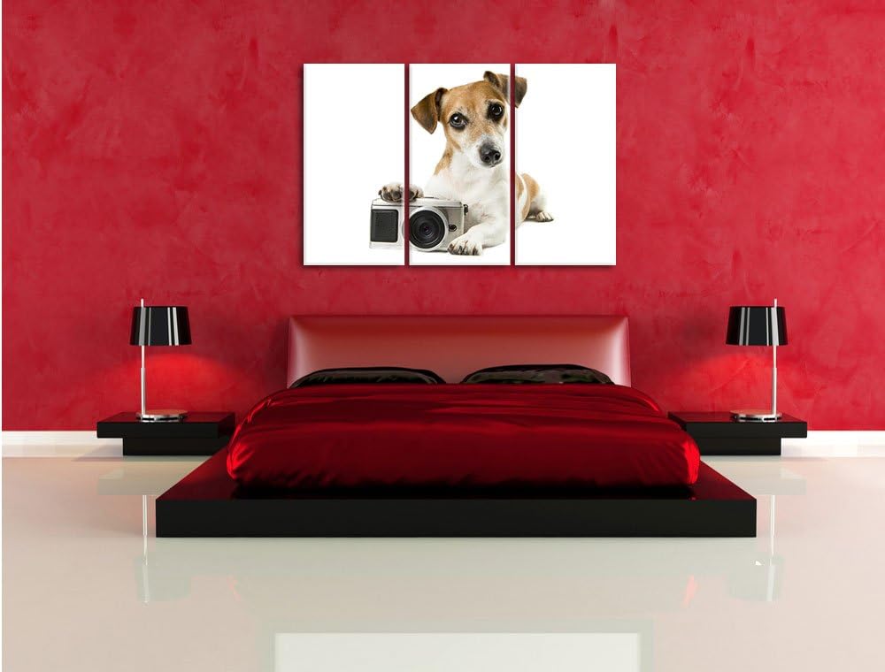 Pixxprint Niedlicher Hundewelpe mit Kamera 3-Teiler Leinwandbild 120x80 Bild auf Leinwand, riesige B