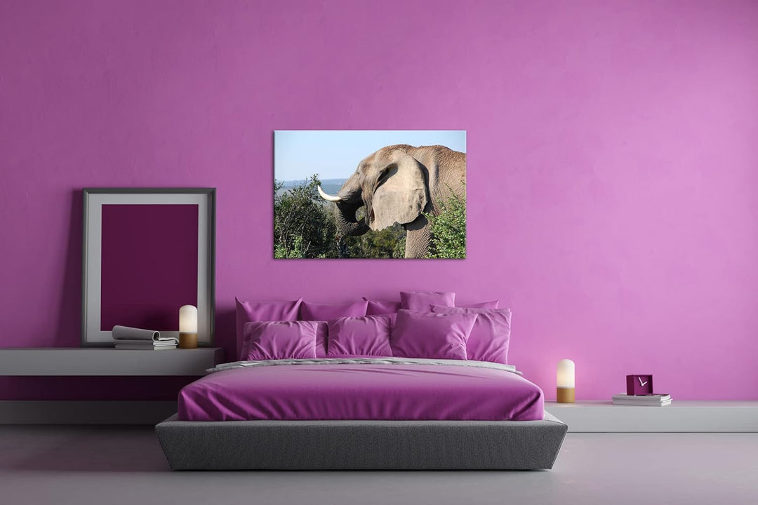 deyoli grosser Elefant Format: 100x70 als Leinwand, Motiv fertig gerahmt auf Echtholzrahmen, Hochwer