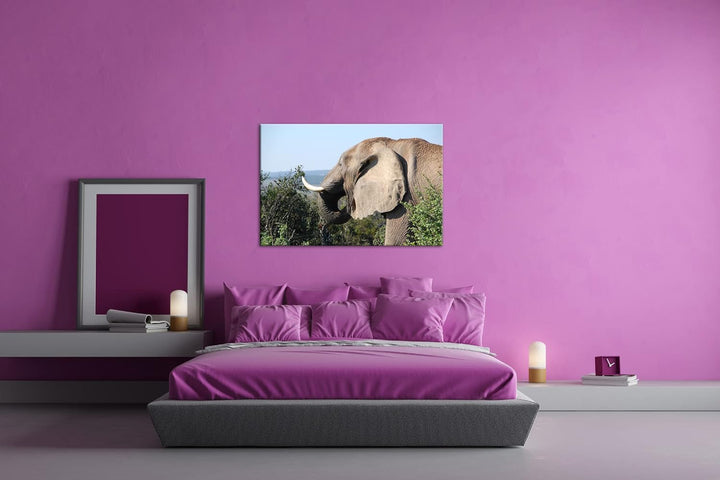 deyoli grosser Elefant Format: 100x70 als Leinwand, Motiv fertig gerahmt auf Echtholzrahmen, Hochwer