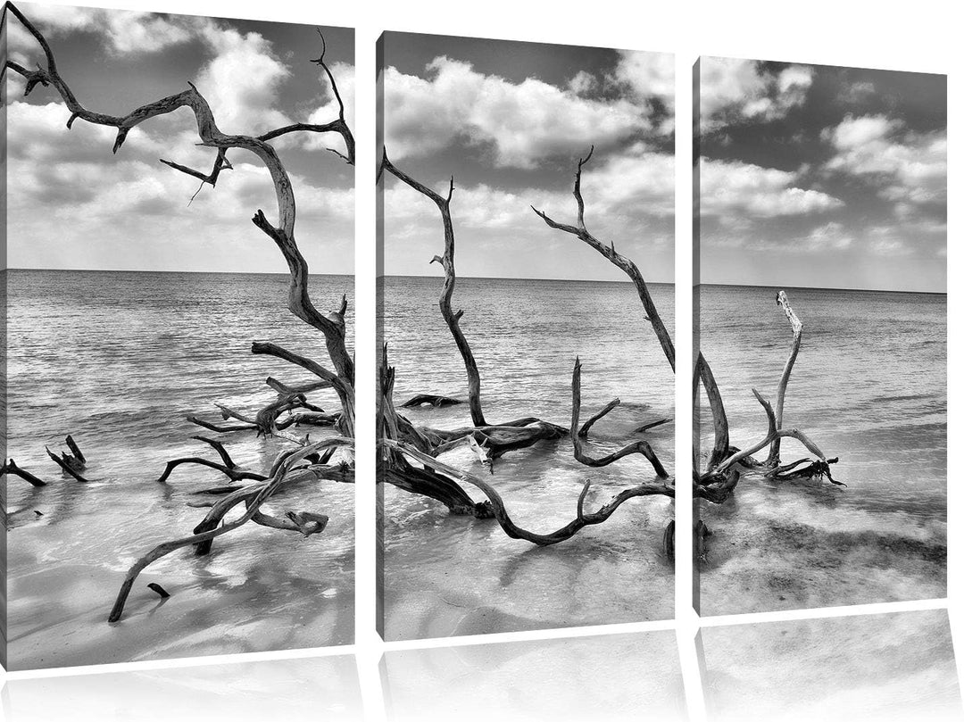 Pixxprint Monocrome, Strand Meer Havanna Kuba 3-Teiler Leinwandbild 120x80 Bild auf Leinwand