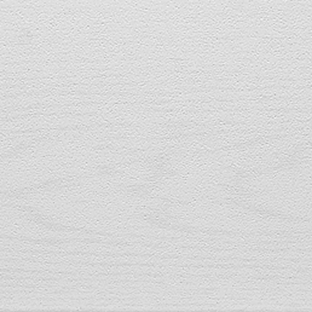 Decosa Deckenpaneele AP 305 in Weiss - 5 Packstücke à 12 Paneelen 100 x 16,5 cm (= 10 qm) - Decken P