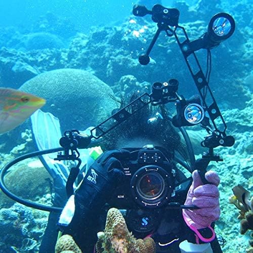 4 Stück 2,5 cm Aluminium-Kugelklemmen-Halterung für Unterwasser-Tauchlichtarme, Tablett-System, Foto