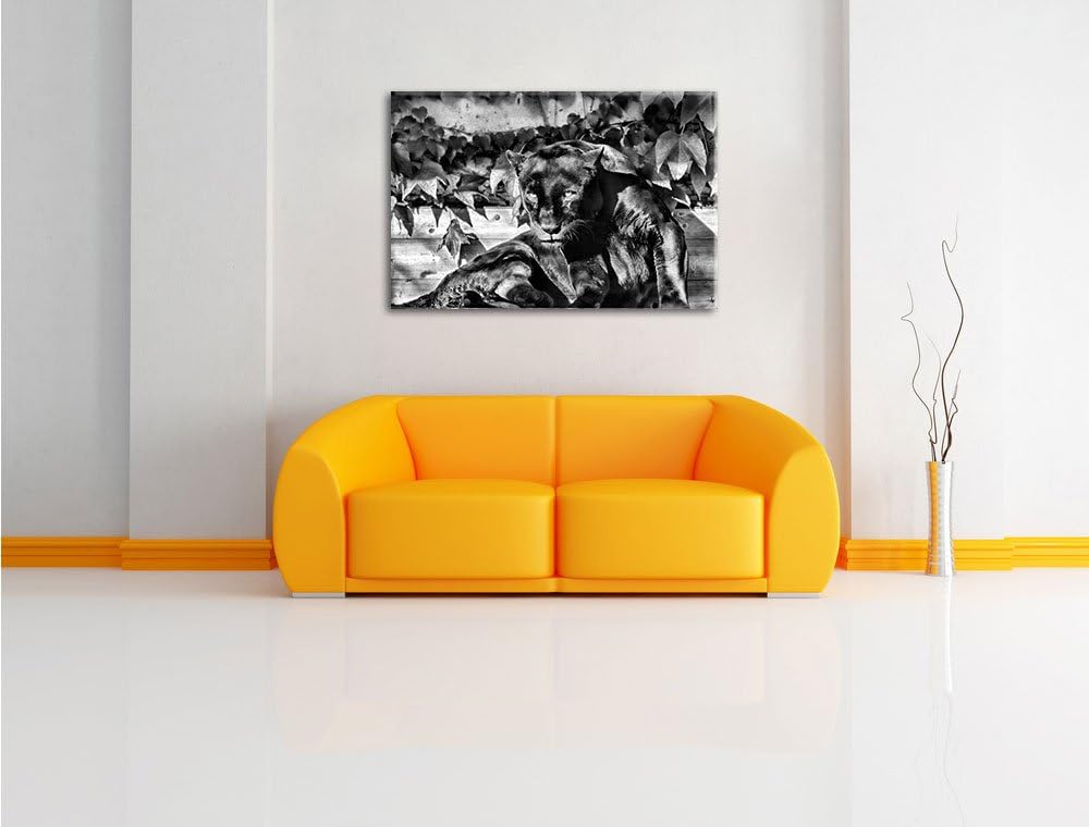 Pixxprint schwarzer Panther als Leinwandbild/Grösse: 100x70 cm/Wandbild/Kunstdruck/fertig bespannt,