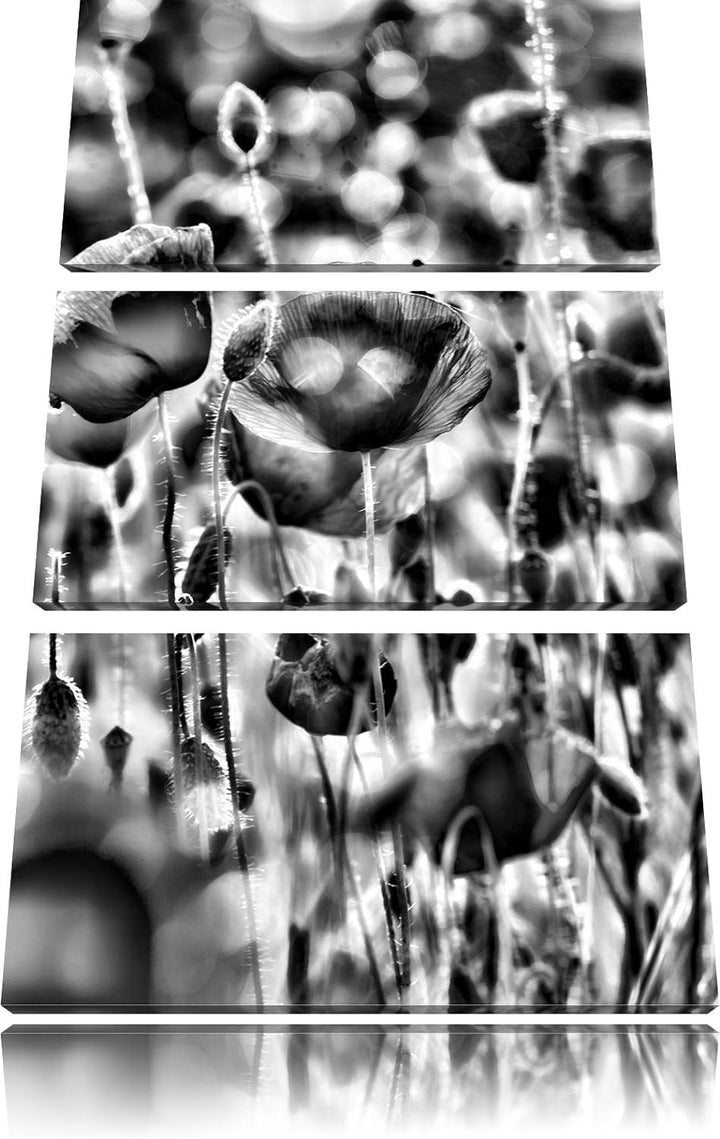 Pixxprint Mohnwiese als Leinwandbild/Grösse: 3 Teilig (120x80) cm/Wandbild/Kunstdruck/fertig bespann