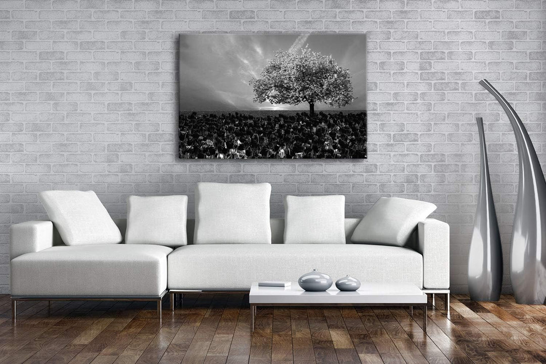 deyoli Kirschbaum im Tulpen Feld Format: 80x60 Effekt: Schwarz&Weiss als Leinwandbild, Motiv fertig