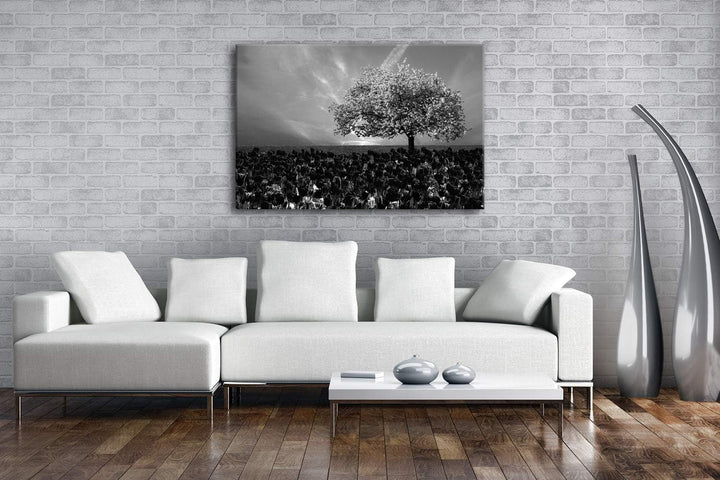 deyoli Kirschbaum im Tulpen Feld Format: 80x60 Effekt: Schwarz&Weiss als Leinwandbild, Motiv fertig