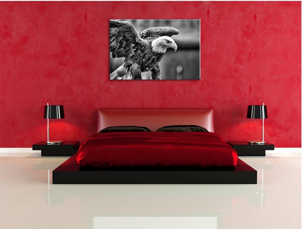 Monocrome, Adler, Format: 100x70 auf Leinwand, XXL riesige Bilder fertig gerahmt mit Keilrahmen, Kun