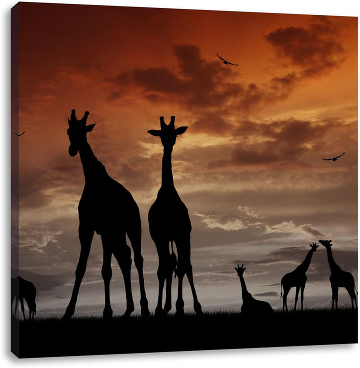 Pixxprint Afrika Giraffen im Sonnenuntergang schwarz/weiss, Format: 70x70 auf Leinwand, 70x70