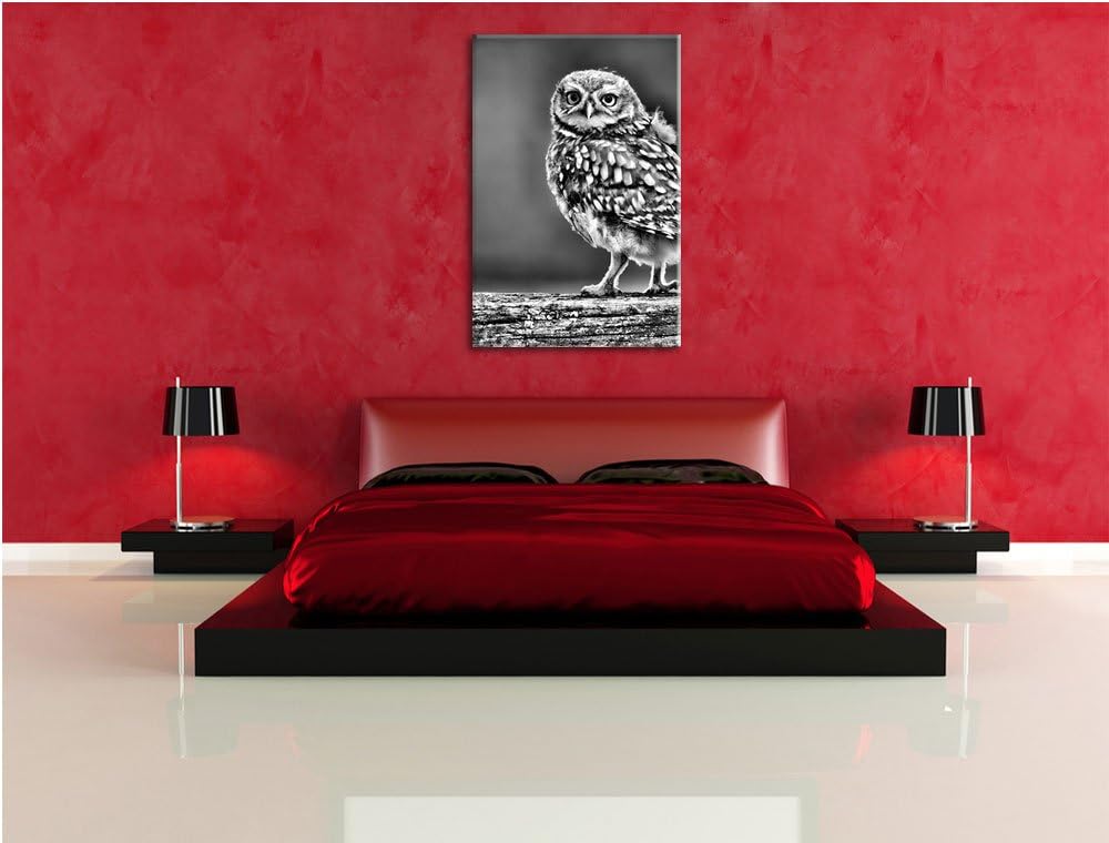 Pixxprint Kleine Eule auf Baum als Leinwandbild/Grösse: 100x70 cm/Wandbild/Kunstdruck/fertig bespann