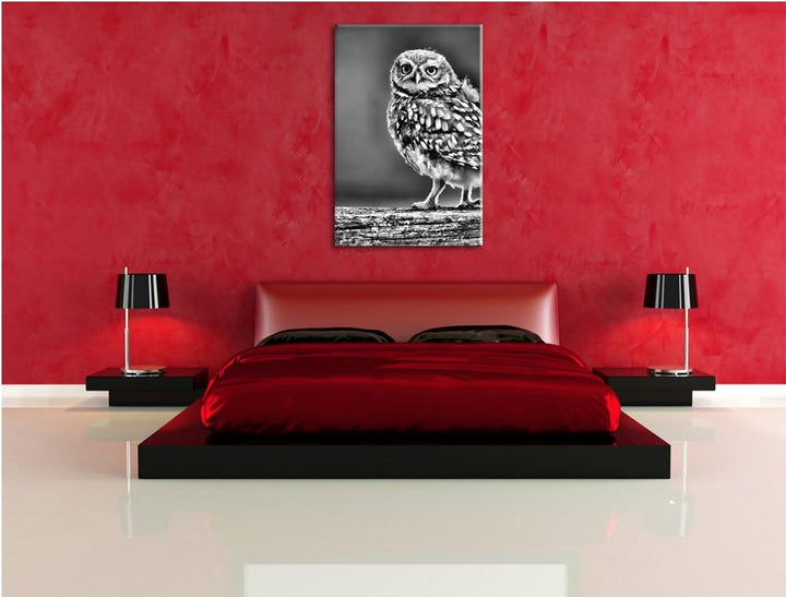 Pixxprint Kleine Eule auf Baum als Leinwandbild/Grösse: 100x70 cm/Wandbild/Kunstdruck/fertig bespann