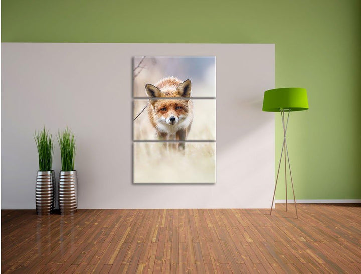 Pixxprint Schleichender Fuchs als Leinwandbild | Grösse: 3 Teilig (120x80) | Wandbild| Kunstdruck |