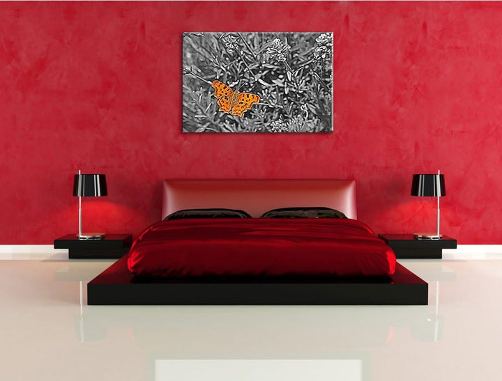 schöner Schmetterling auf Blumenwiese schwarz/weiss Deluxe Format: 100x70 cm auf Leinwand, XXL riesi