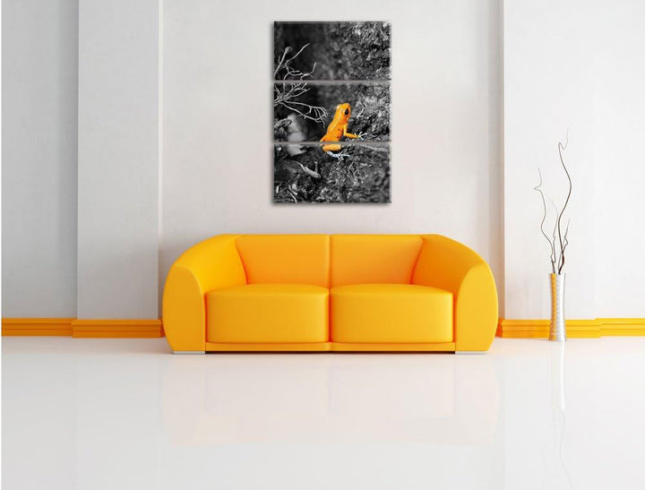 Pixxprint giftiger Kleiner Frosch als Leinwandbild/Grösse: 3 Teilig (120x80) / Wandbild/Kunstdruck/f