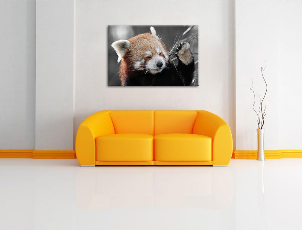 süsser Panda sagt Hallo schwarz/weiss Format: 100x70 auf Leinwand, XXL riesige Bilder fertig gerahmt