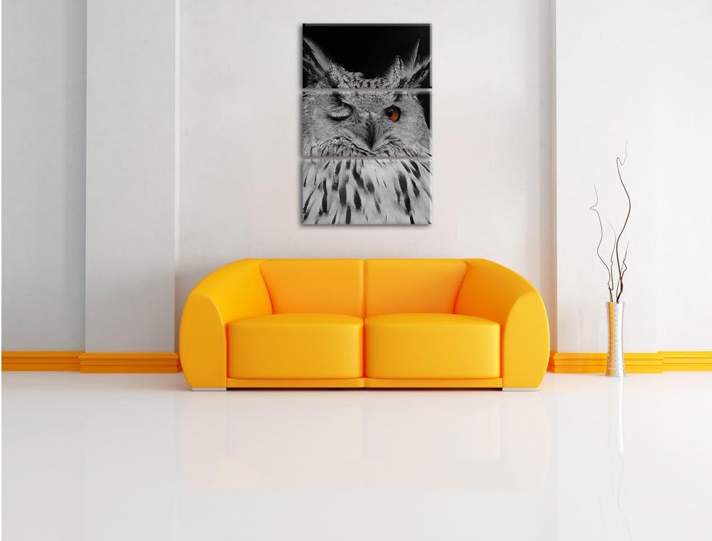Pixxprint Dark schöne Waldohreule zwinkert schwarz/weiss 3-Teiler Leinwandbild 120x80 Bild auf Leinw