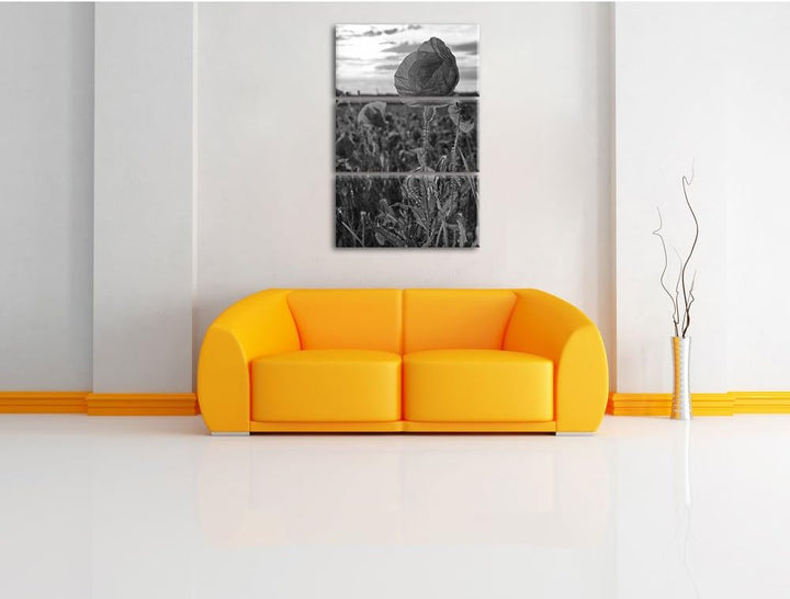 Pixxprint Mohnfeld Kunst B&W als Leinwandbild/Grösse: 3 Teilig (120x80) cm/Wandbild/Kunstdruck/ferti