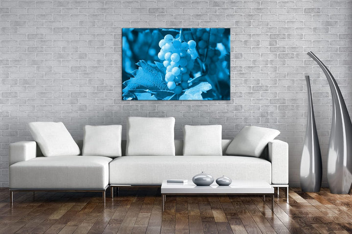 deyoli frische erntereife Weintrauben Format 80x60 Effekt: Monocrome Blau als Leinwandbild, Motiv fe