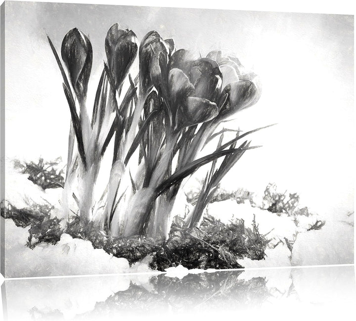 Pixxprint Frühling florwer Hintergrund als Leinwandbild/Grösse: 100x70 cm/Wandbild/Kunstdruck/fertig