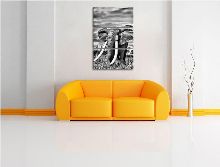 Pixxprint Stolzer Elefant in Savanne als Leinwandbild/Grösse: 3 Teilig (120x80) cm/Wandbild/Kunstdru