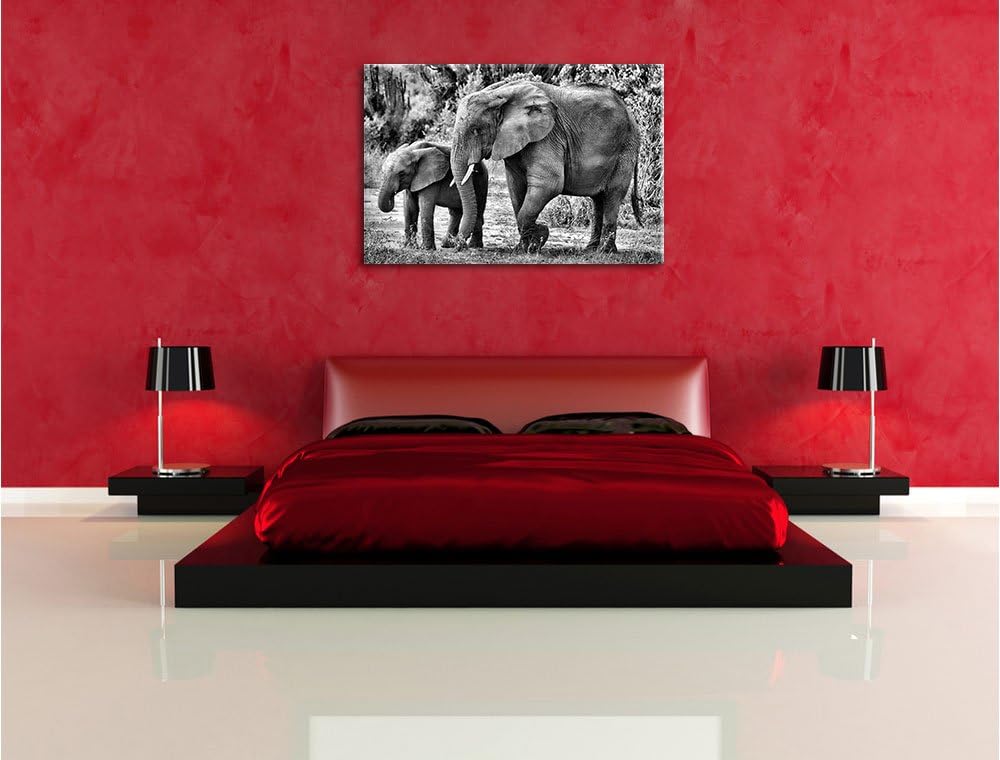 Pixxprint Elefantenkuh neben Jungtier / 100x70cm Leinwandbild bespannt auf Holzrahmen/Wandbild Kunst