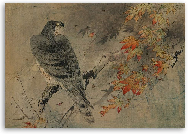Wandbild XXL Vogel Deko Kunst Bilder Natur Beige 120x80 cm M14246 120x80 cm, M14246 120x80 cm