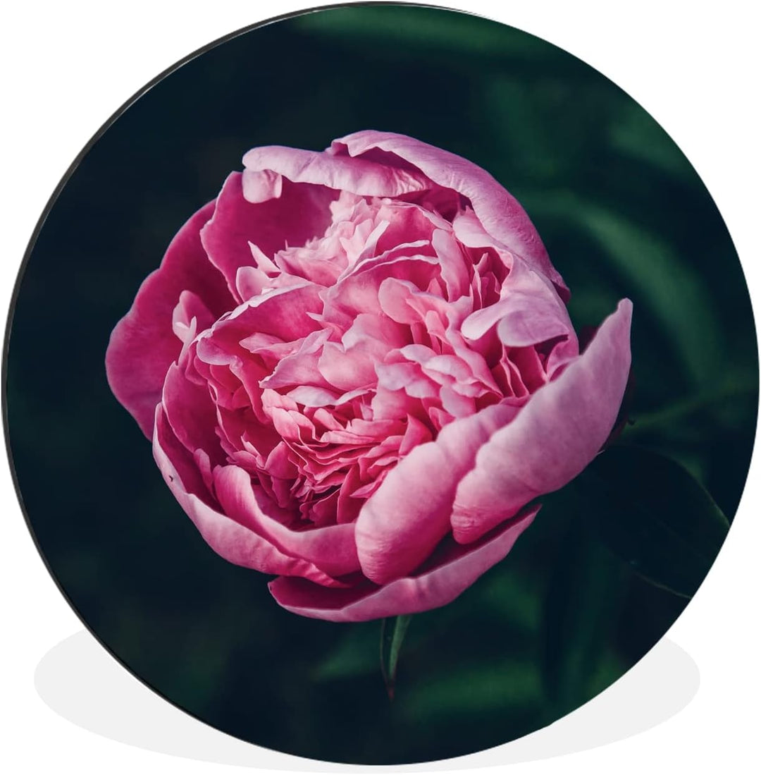 MuchoWow Wandbild Rund Wanddeko Deko Wohnzimmer Bilder 30x30 cm Blumen - Rosa - Rosen, 30x30 cm