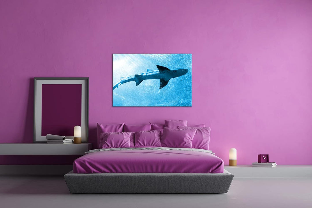 deyoli grosser Hai im Aquarium Format 80x60 Effekt: Monocrome Blau als Leinwandbild, Motiv fertig ge