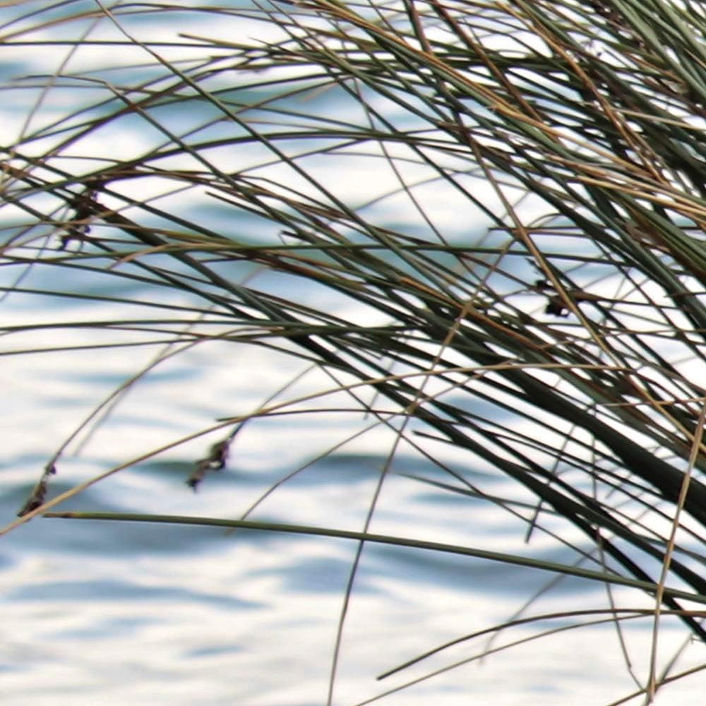 Feeby Leinwandbild 5 Teilig Landschaft Bild Wanddeko Gras See Natur braun 150x100 cm Leinwandbild 15